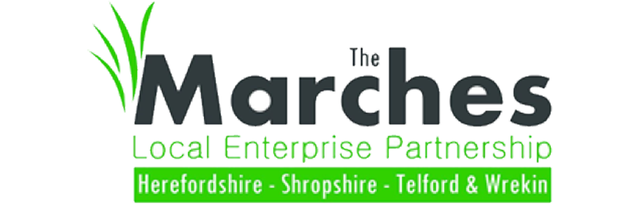 The marches logo